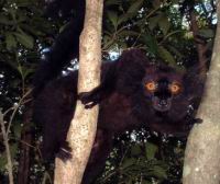 ���� ���� - ���